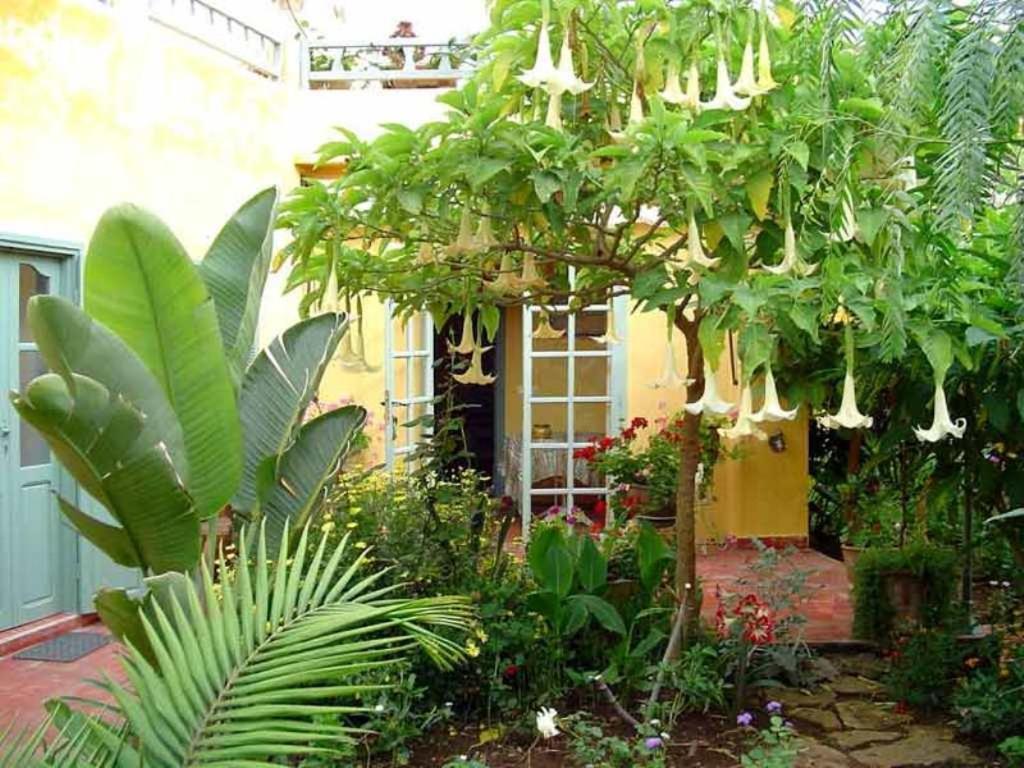 Dar Beldi Bed & Breakfast Oualidia Exterior photo