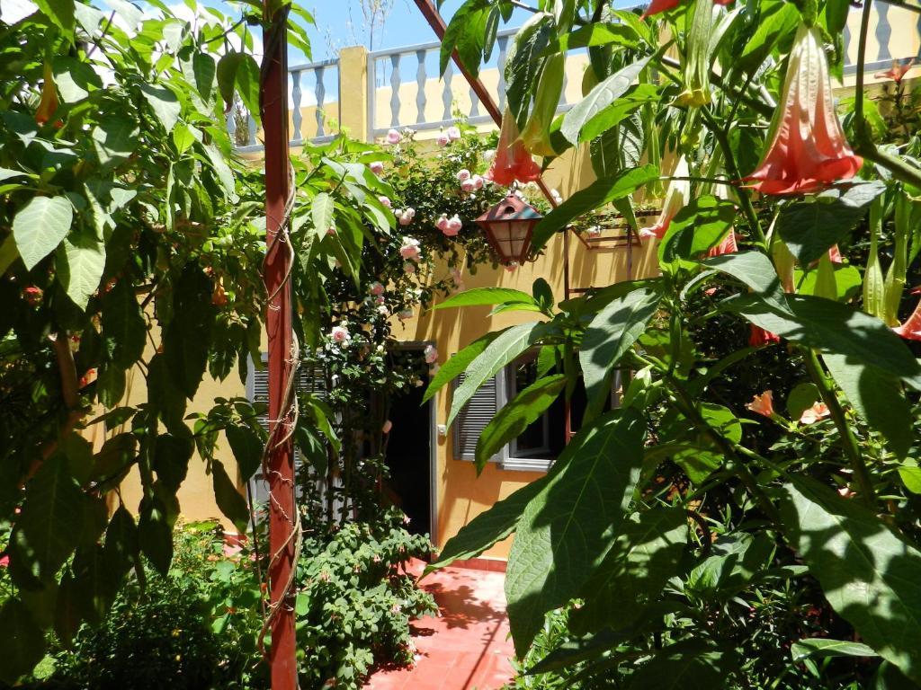 Dar Beldi Bed & Breakfast Oualidia Room photo